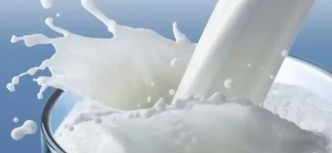 The Milk Diet: How to Use the Milk Diet Scientifically at Home The Milk Diet: How to Use the Milk Diet Scientifically at Home