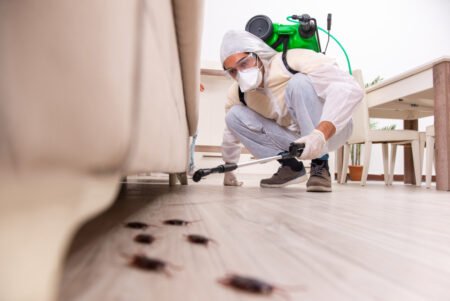 Best 3 London Pest Control Companies Reviews for 2024: Expert Insights and Top Picks