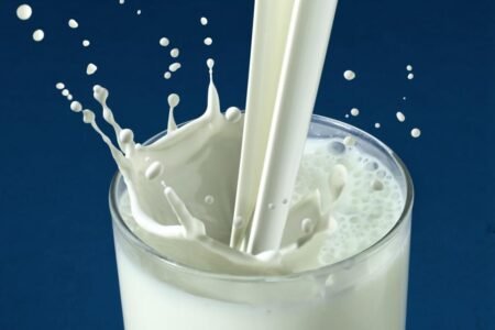 The Milk Diet as a Remedy for Chronic Disease by Charles Sanford Porter