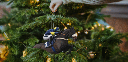 Give Granny a racehorse to cheer this Christmas: Racing Club’s syndicate 25/26 offers ownership from £25
